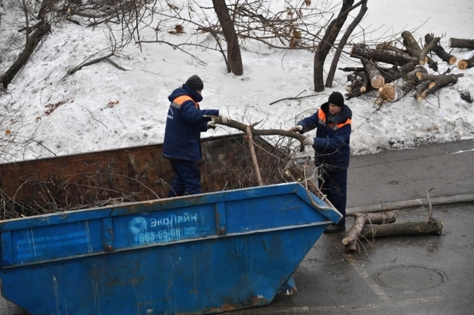На улице Ефремова в Ульяновске спилили аварийное дерево. Фото архив КП
