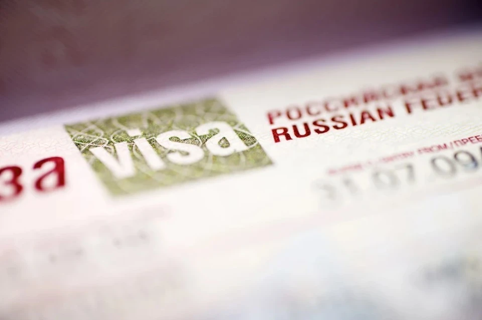 Минэкономразвития РФ анонсировал ввод электронных виз для граждан Египта