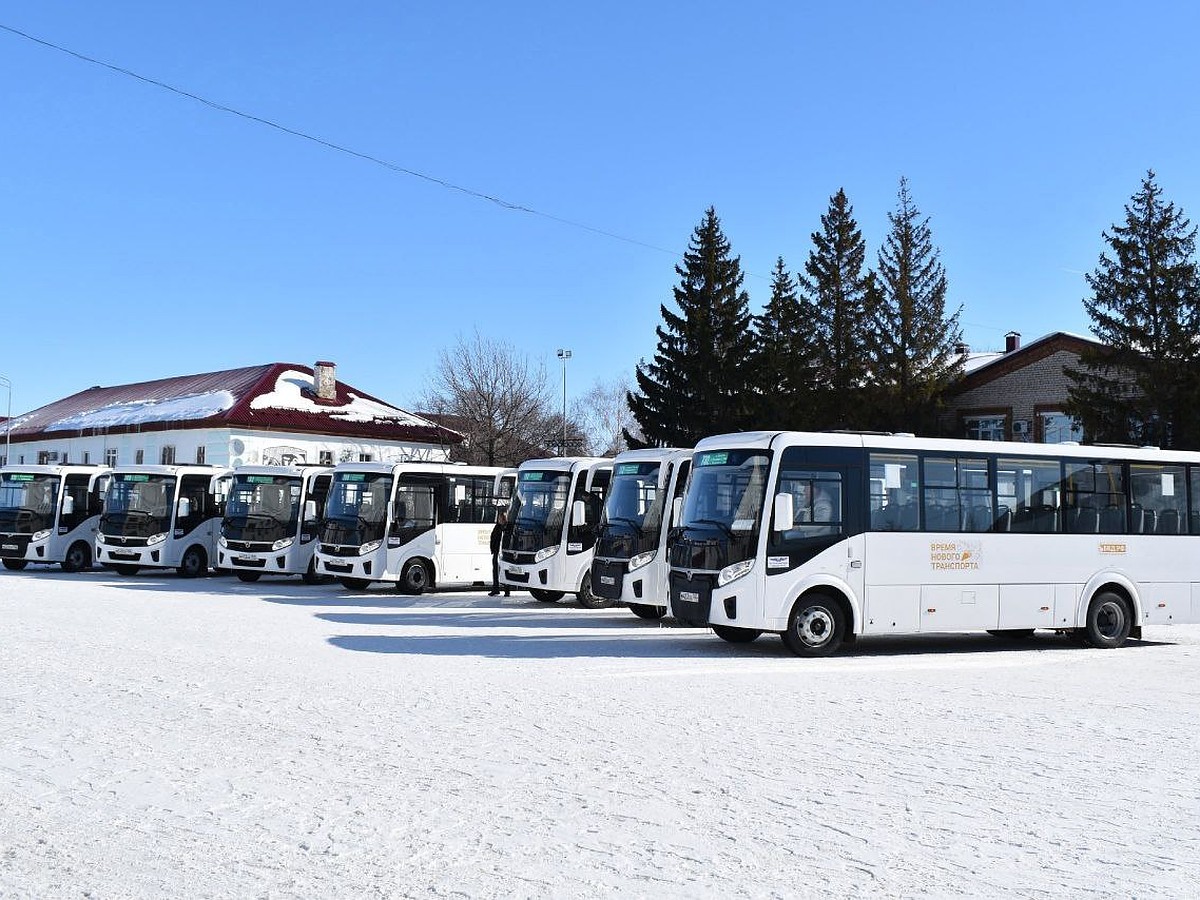 В Самарскую область поставят 210 новых автобусов в 2024 году - KP.RU