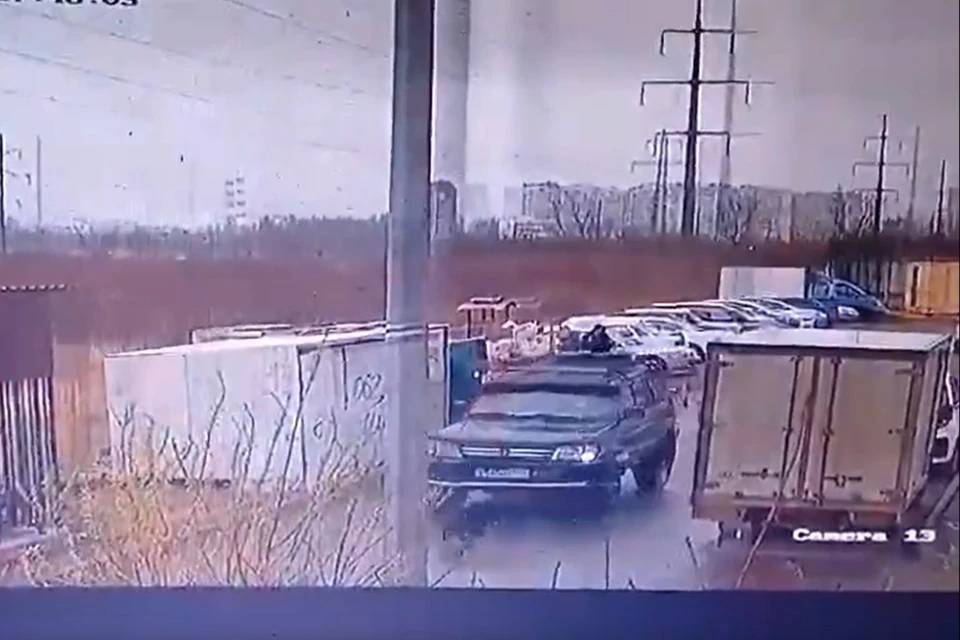 Водитель внедорожника переехал дворнягу Фото: кадр из видео