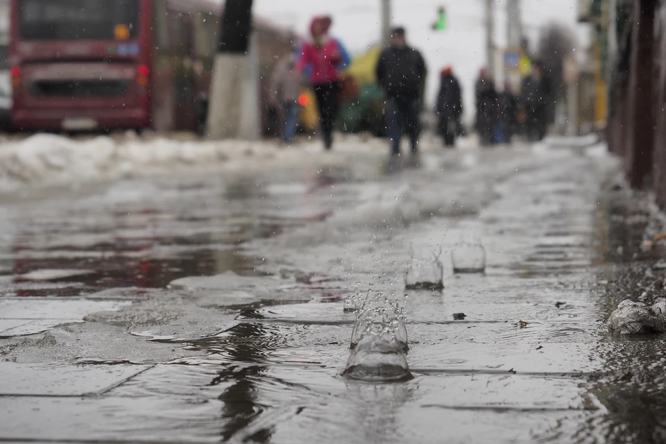 Снег к концу марта в Воронежской области может стаять почти полностью.