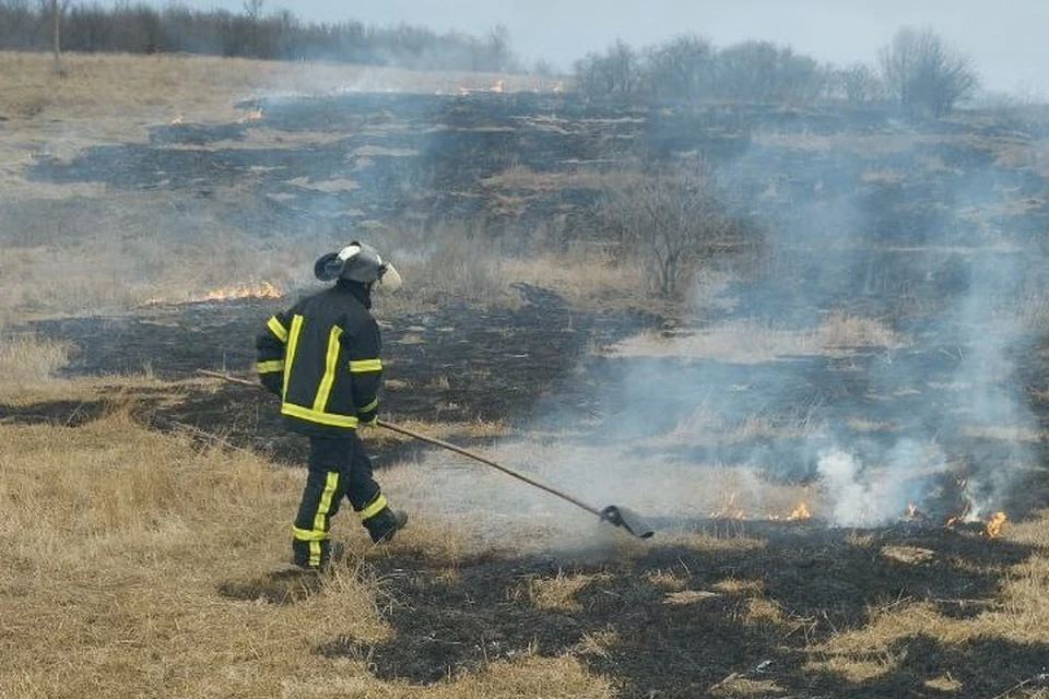 На территории ЛНР 21 марта спасатели тушили 22 пожара, среди которых 13 — сухотравные. Фото - МЧС ЛНР