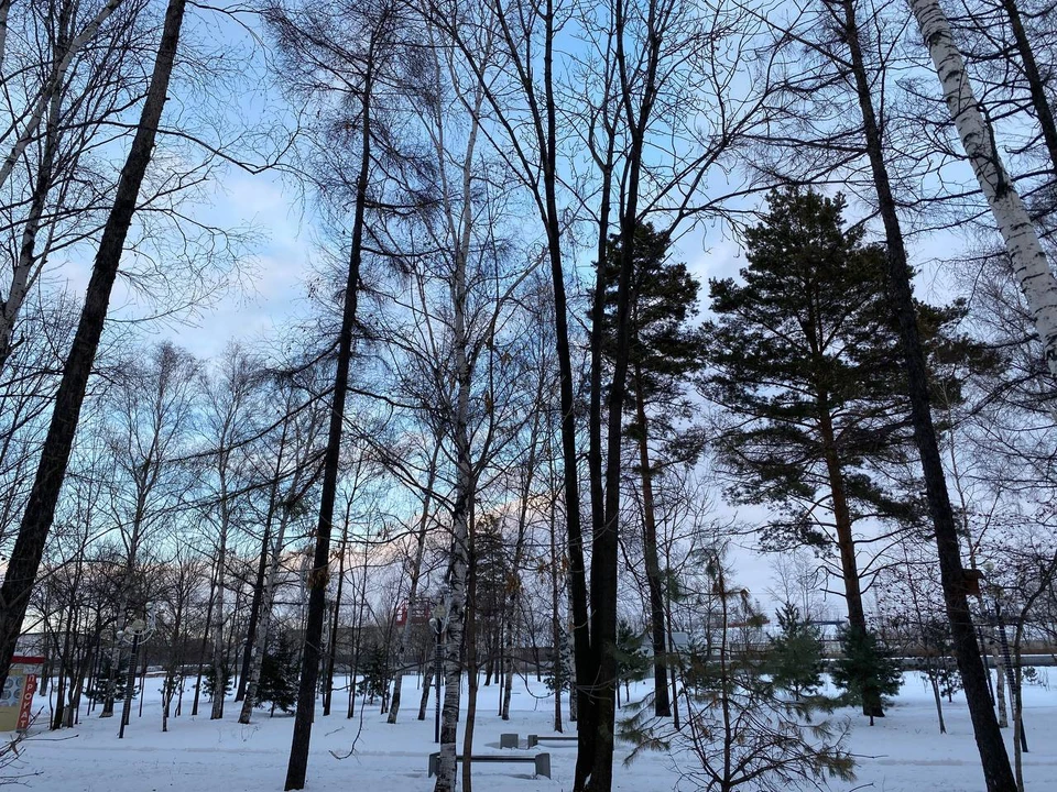 Морозы и снег ожидаются в Якутии 25 марта