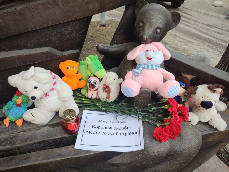 К стихийному монументу воронежцы несут цветы в память жертв теракта в Москве, фото мэрии
