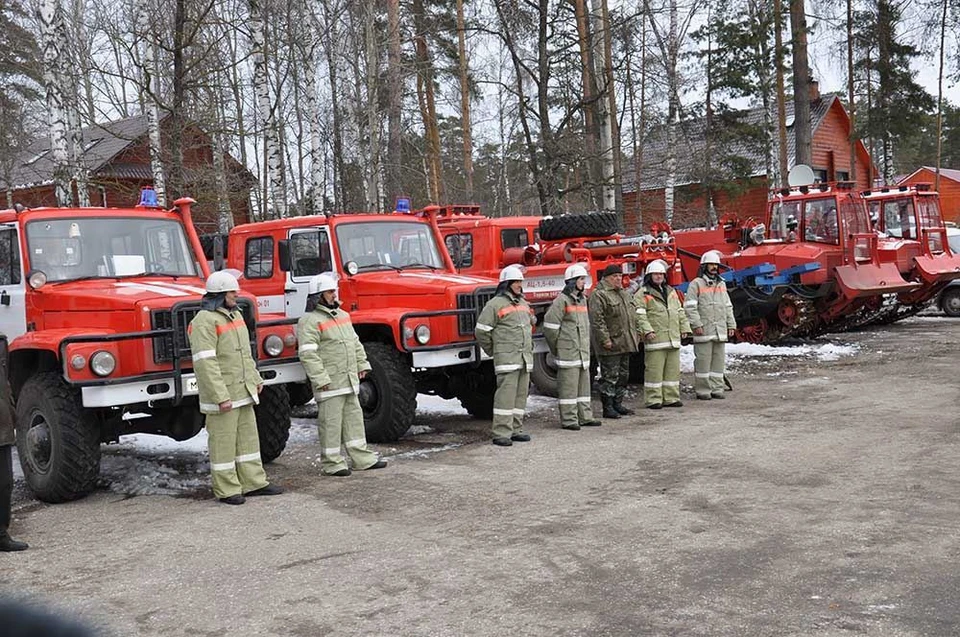 Фото: пресс-служба администрации Костромской области