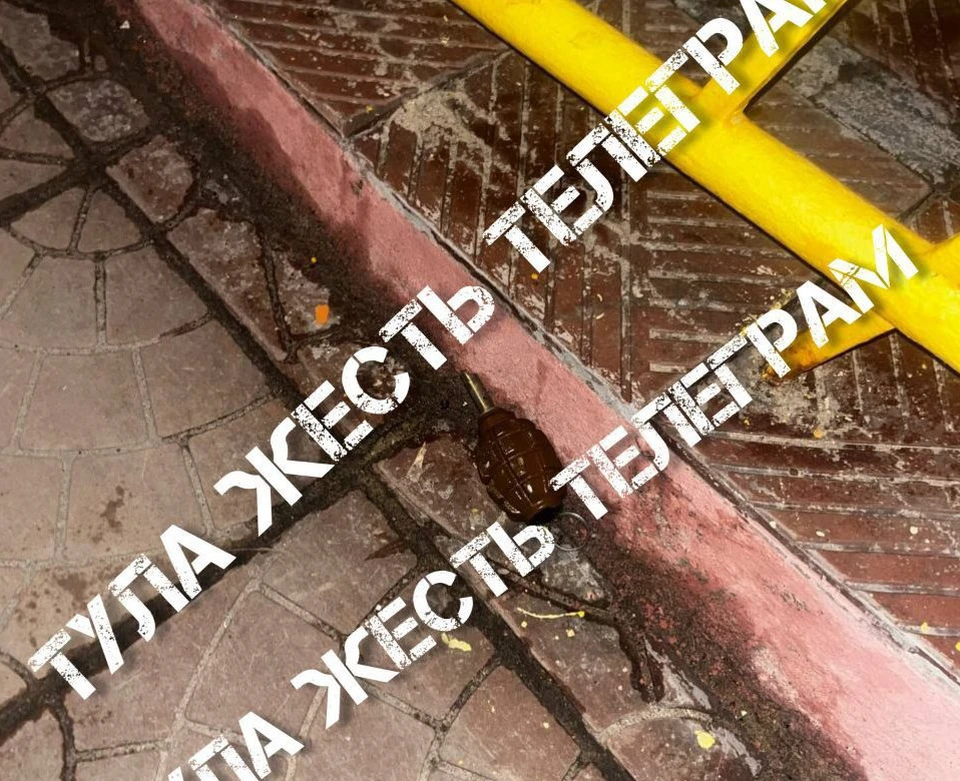 В Туле на улице Пузакова обнаружили гранату. Фото: телеграм-канал «Тула. Жесть».