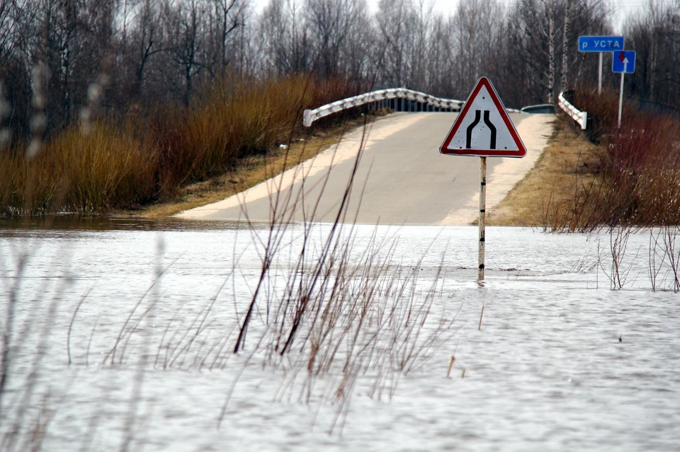 В Ульяновске уровень реки Сельдь за сутки поднялся на 30 сантиметров