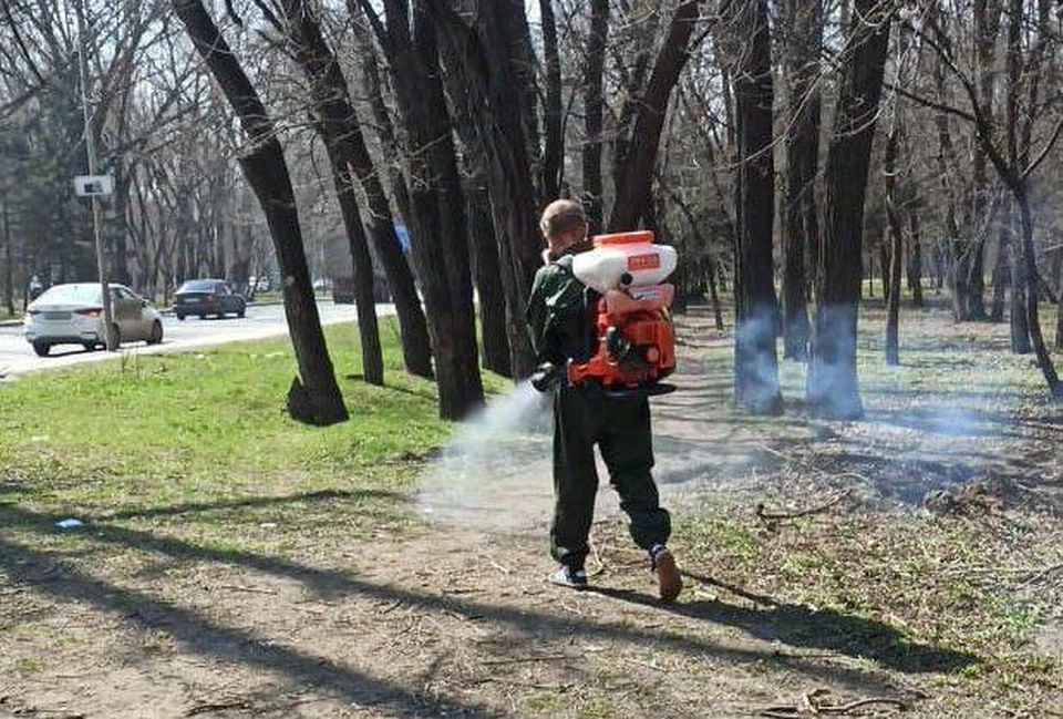 В Ростове-на-Дону специалисты проводят противоклещевую обработку. Фото: администрация Ростова-на-Дону