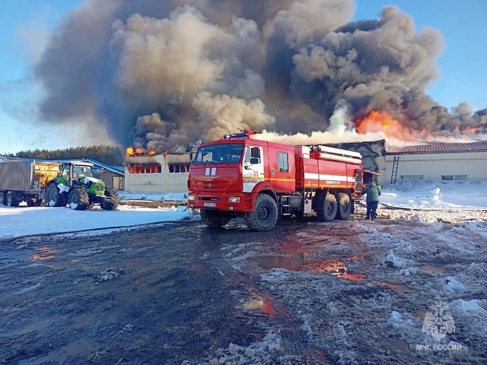 Ульяновские пожарные рассказали о последствиях возгорания на птицефабрике | ФОТО: ГУ МЧС России по Ульяновской области
