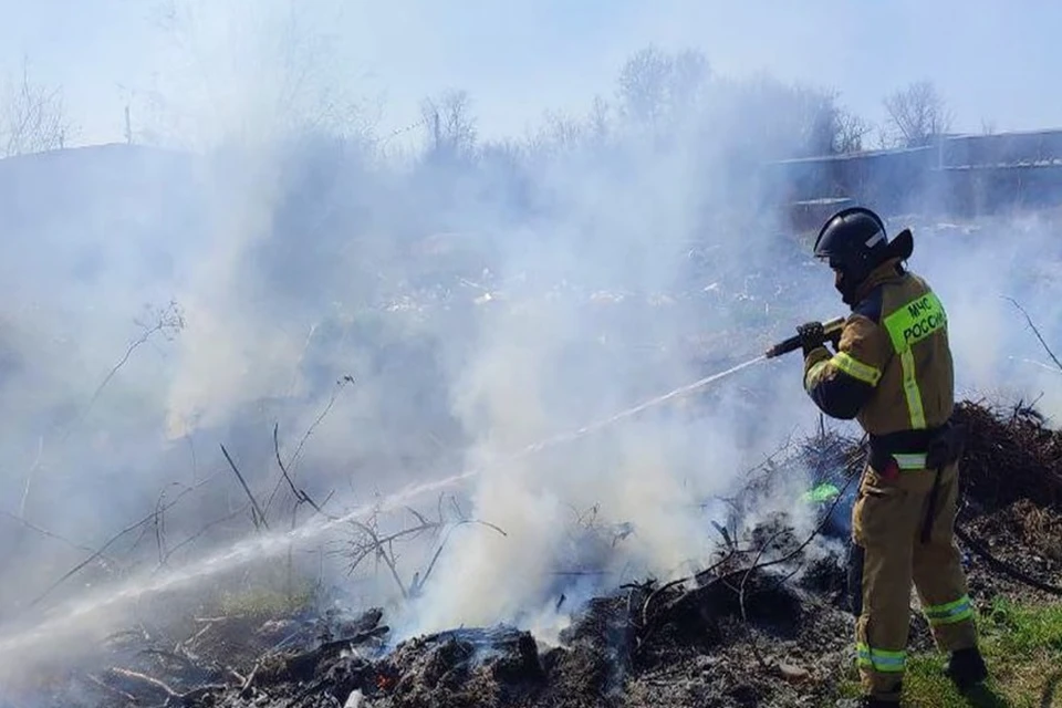 За сутки МЧС России по ДНР ликвидировали 53 природных пожара. Фото: МЧС ДНР
