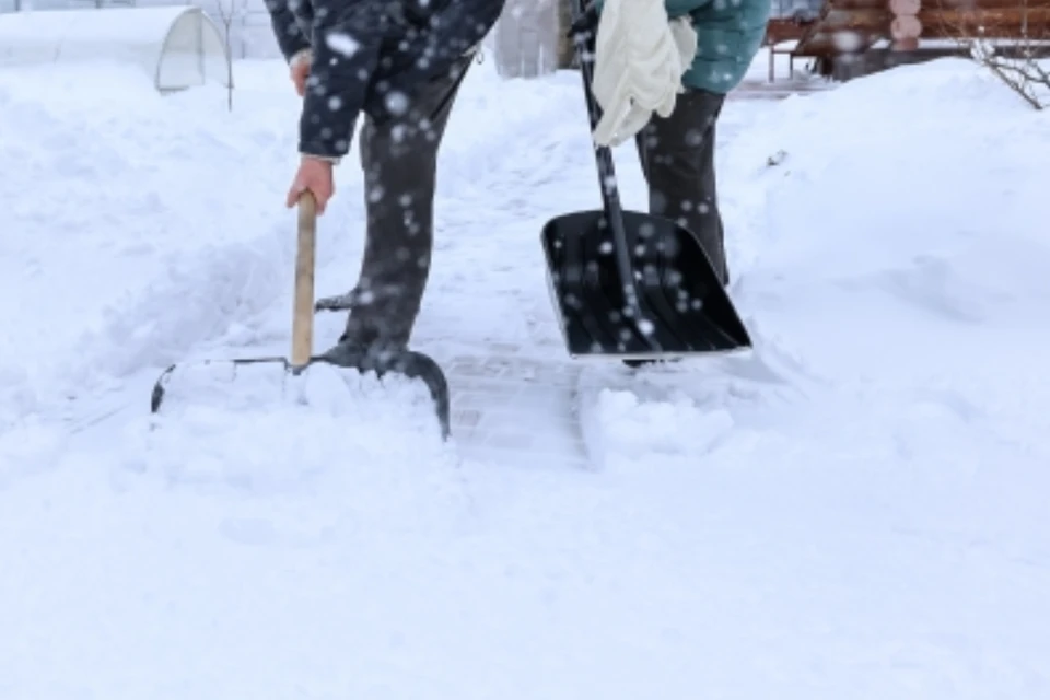Волонтеры убрали снег у вольеров.