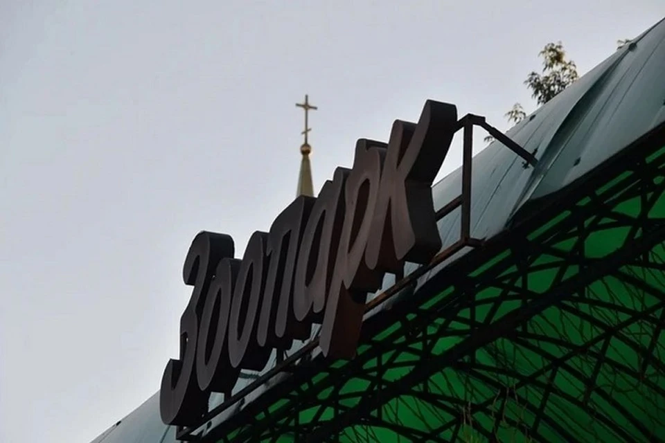 Первоапрельскую птицу придумали в Ростовском зоопарке