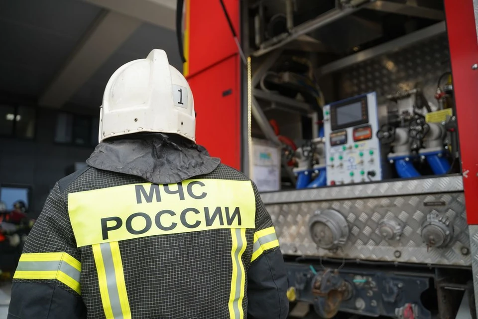 За неделю при пожарах в Новосибирской области погибли два человека.