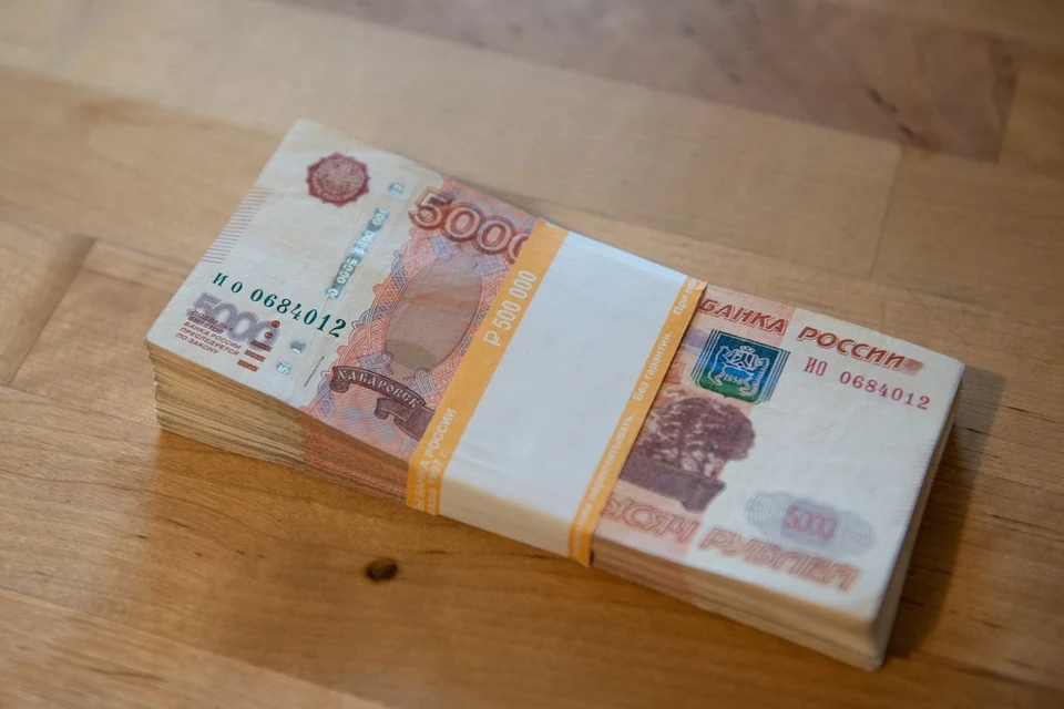 Под Новосибирском бухгалтеры похитили 3,6 миллиона рублей из бюджета предприятия.