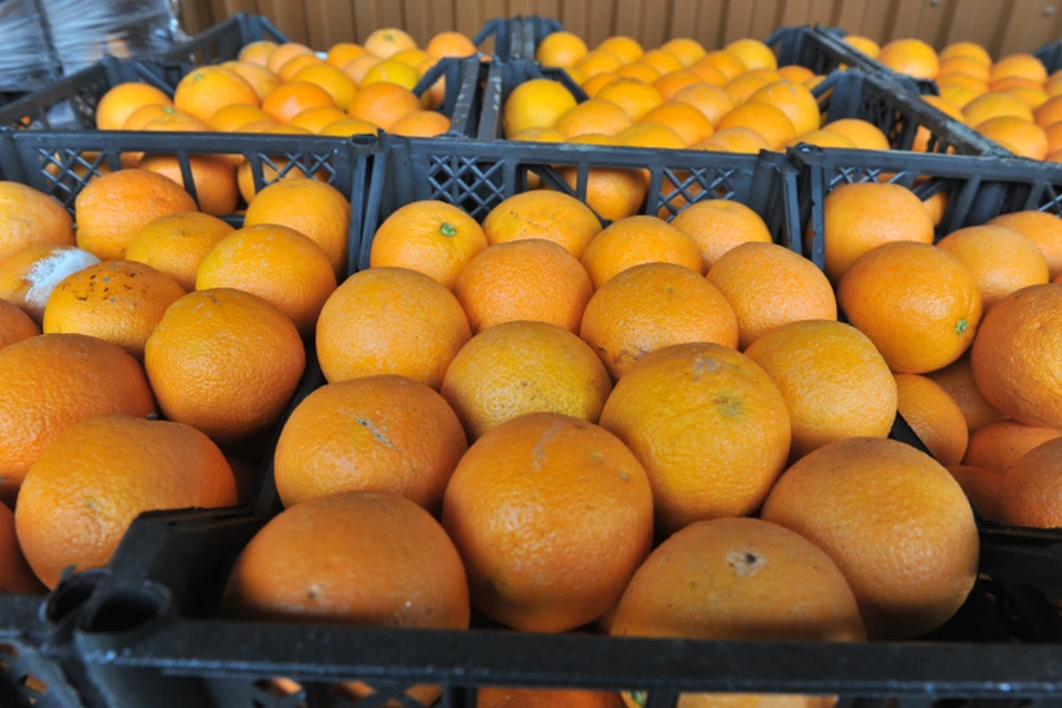 Апельсины разрешили реализовать на территории Кировской области.