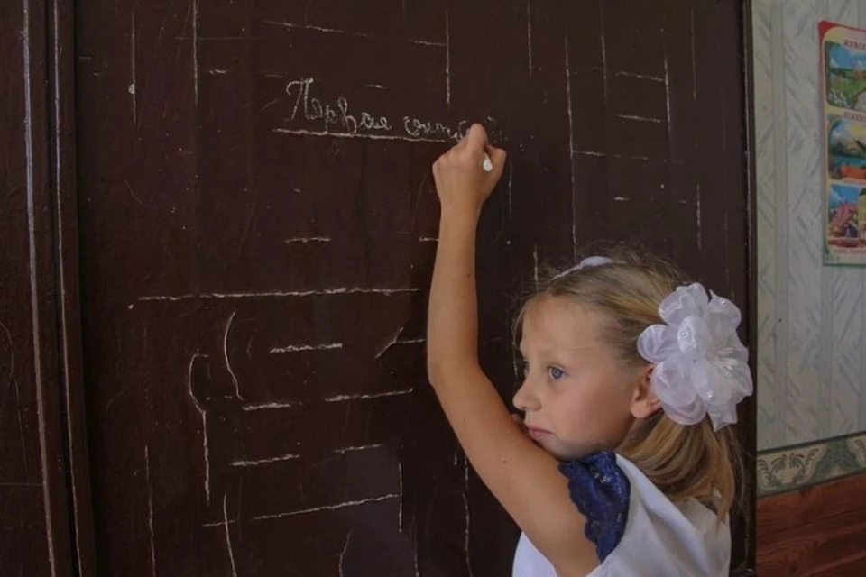 В ДНР прорабатывают вопрос организации обучения оставшихся в Авдеевке детей (архивное фото)