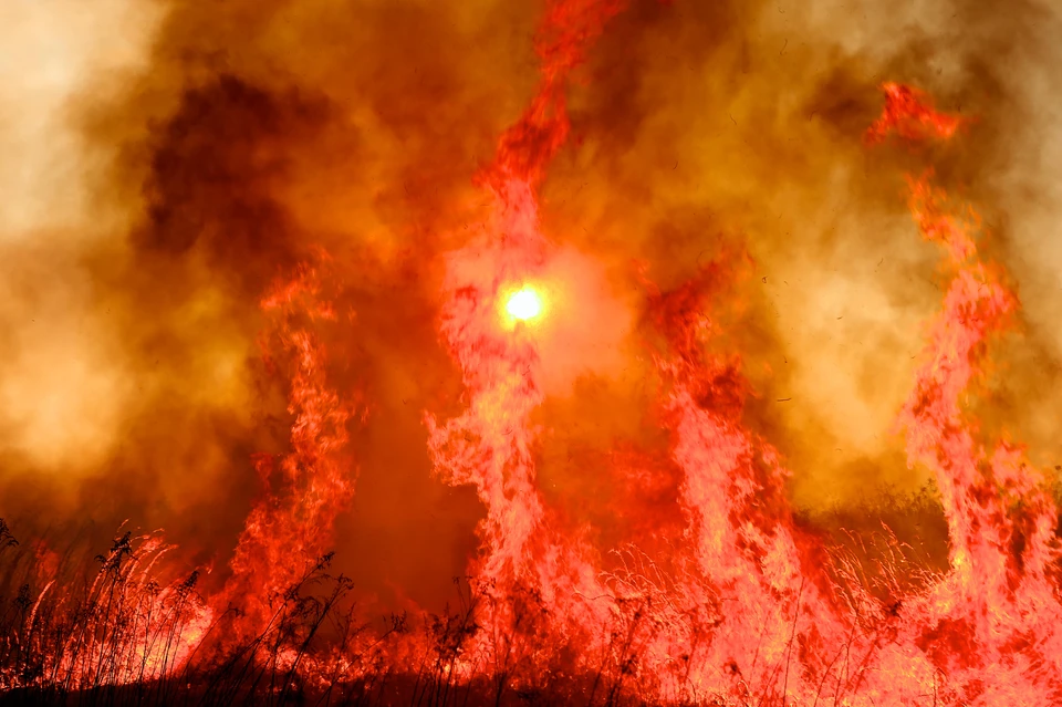 Мощные палы перешли в лесные пожары