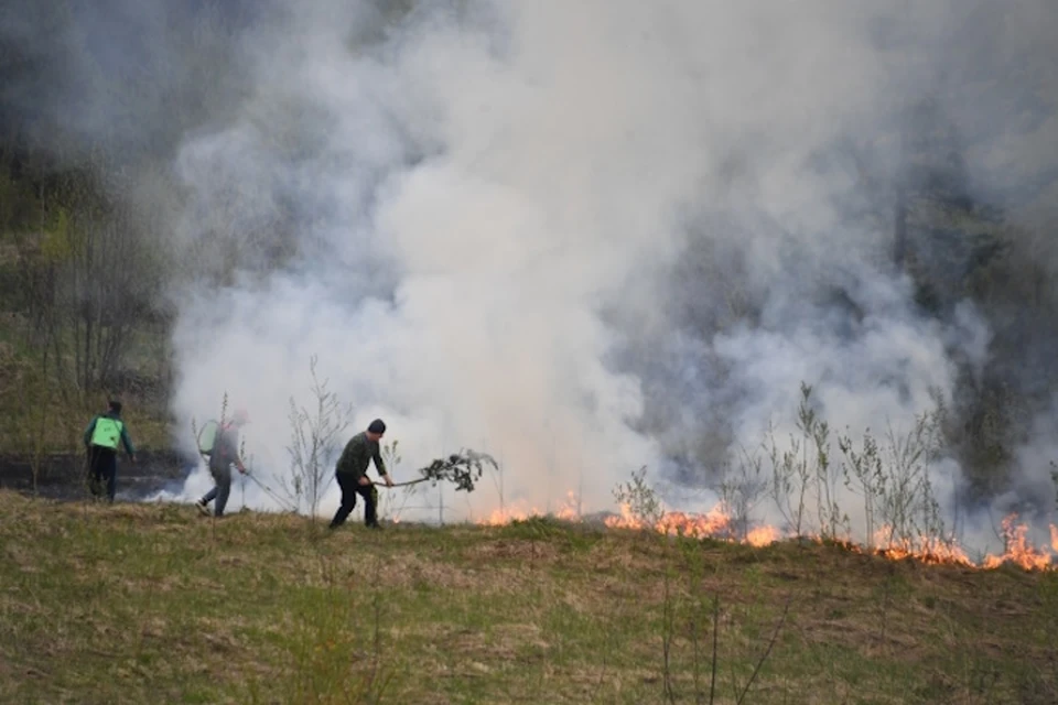 С 15 апреля в Херсонской области объявлен особый противопожарный режим.