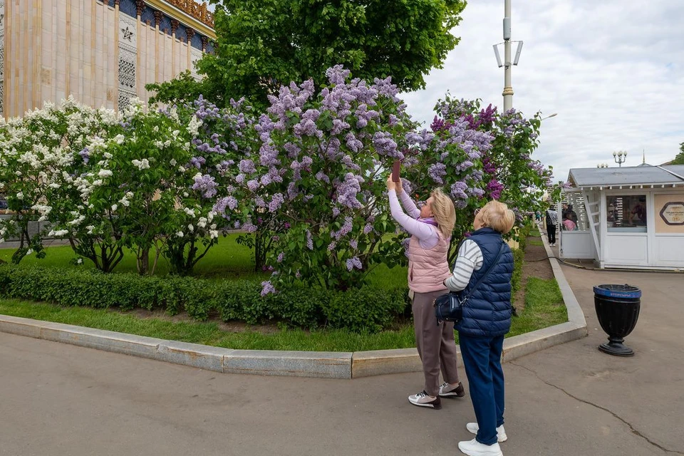 Синоптики опубликовали прогноз погоды на апрель 2024 в Новосибирске.