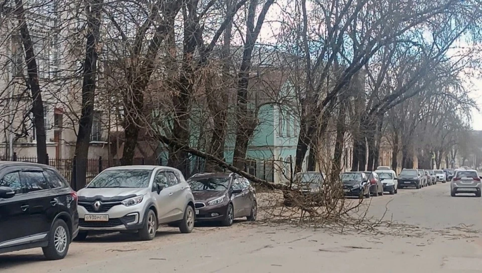 На улице Театральной дерево упало на припаркованную машину