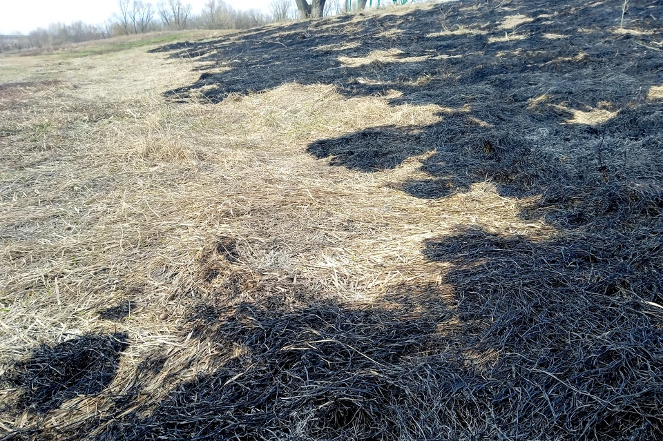 4,3 га сухой травы сгорело за сутки в Липецкой области