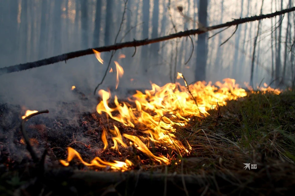 С 5 апреля в Свердловской области начинается пожароопасный сезон