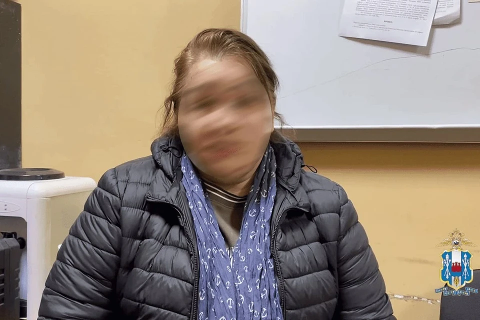 Подозреваемая раньше была судима за мошенничество. Скриншот из видео донской полиции.
