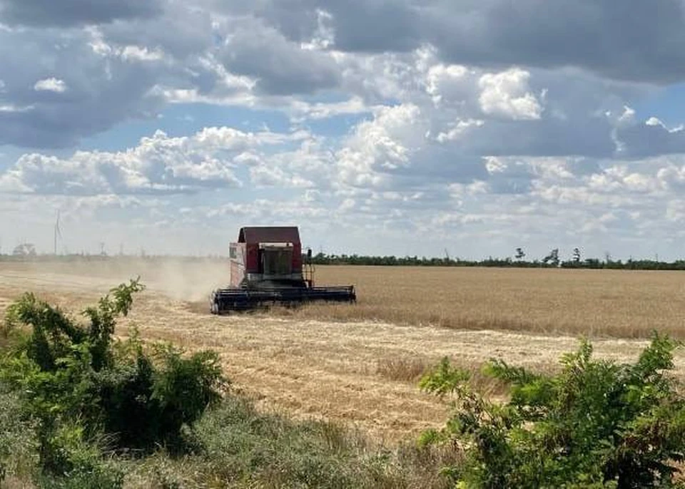 В Херсонской и Запорожской областях перезапустят экономику, чтобы аграрный сектор стал основным аспектом для развития регионов и обеспечения занятости