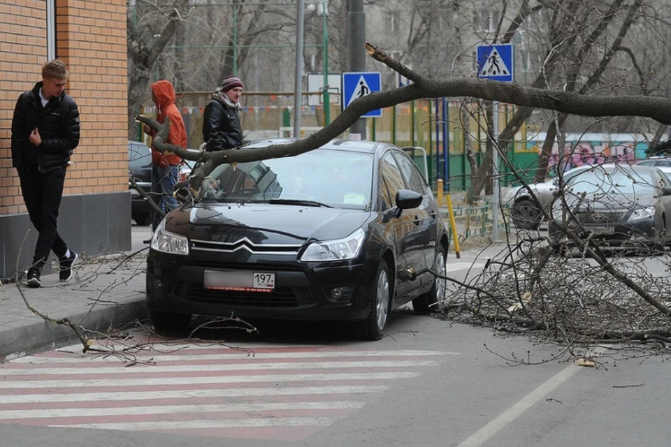 Из-за штормового ветра в Москве погибли два человека, 15 пострадали