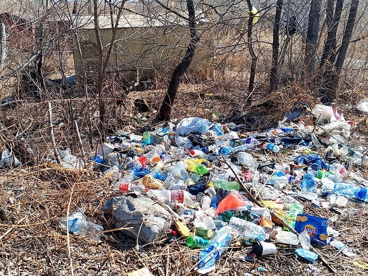 Здесь точно заведутся крысы: в Биробиджане из-за лежащего годами мусора не  видно травы - KP.RU