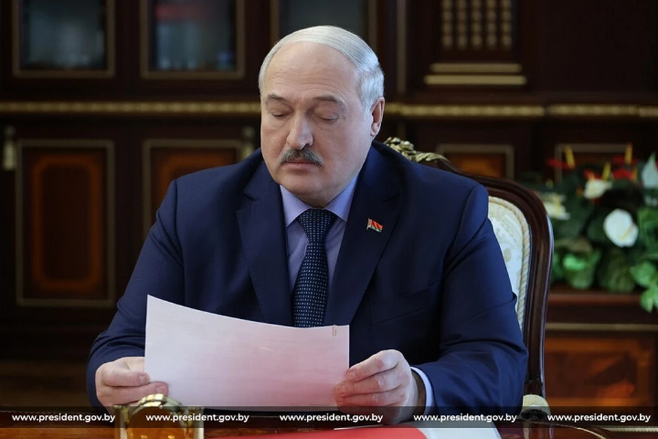Лукашенко дал согласие на внесение в парламент законопроекта о приостановлении Договора об обычных вооруженных силах в Европе. Фото: архив president.gov.by.