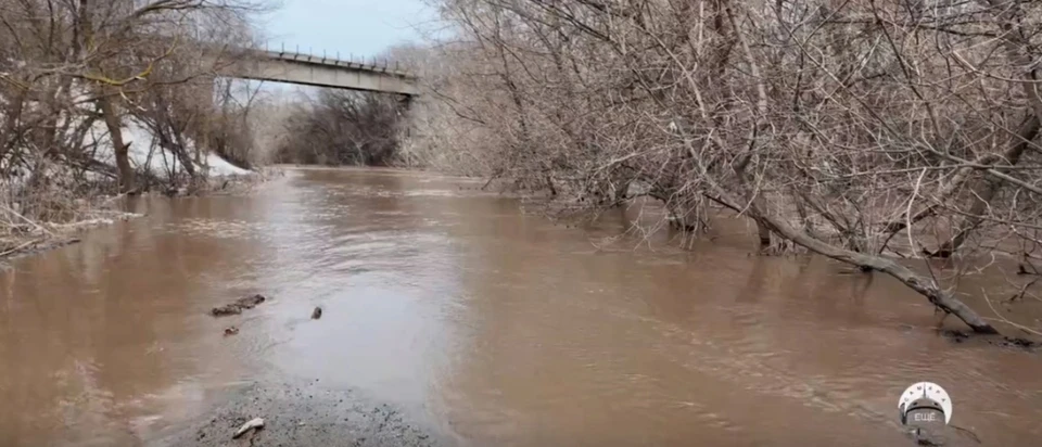 Вода вышла из берегов. Фото: ЕЩЕ Самара