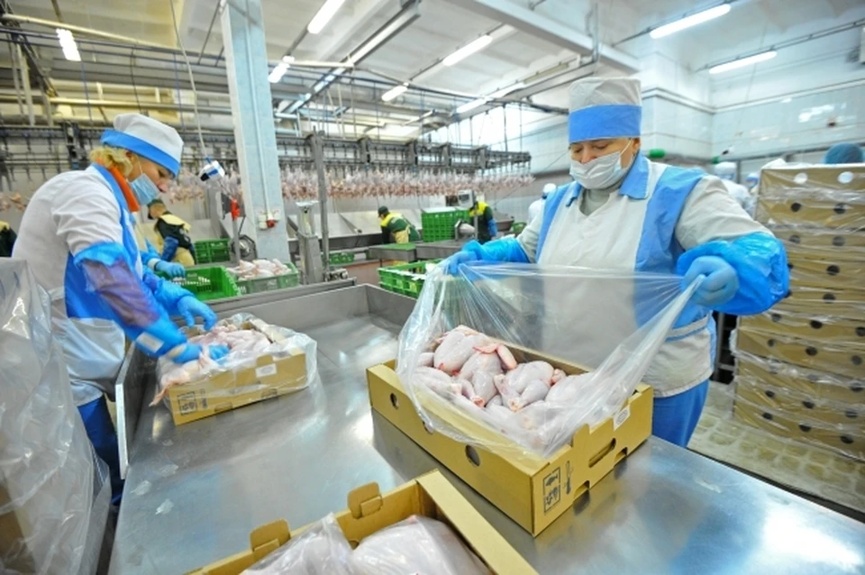 В Китай отправили почти 100 тонн мяса птицы из Ростовской области