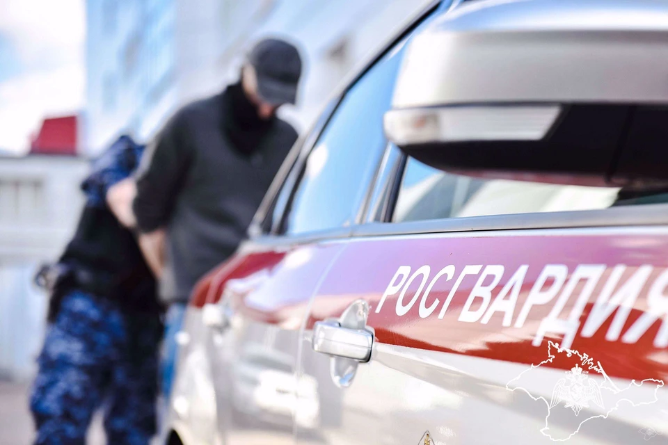 Росгвардейцы отработали профессионально. Фото: 82.rosguard.gov.ru