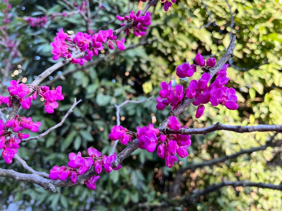 По-весеннему тепло будет сегодня.