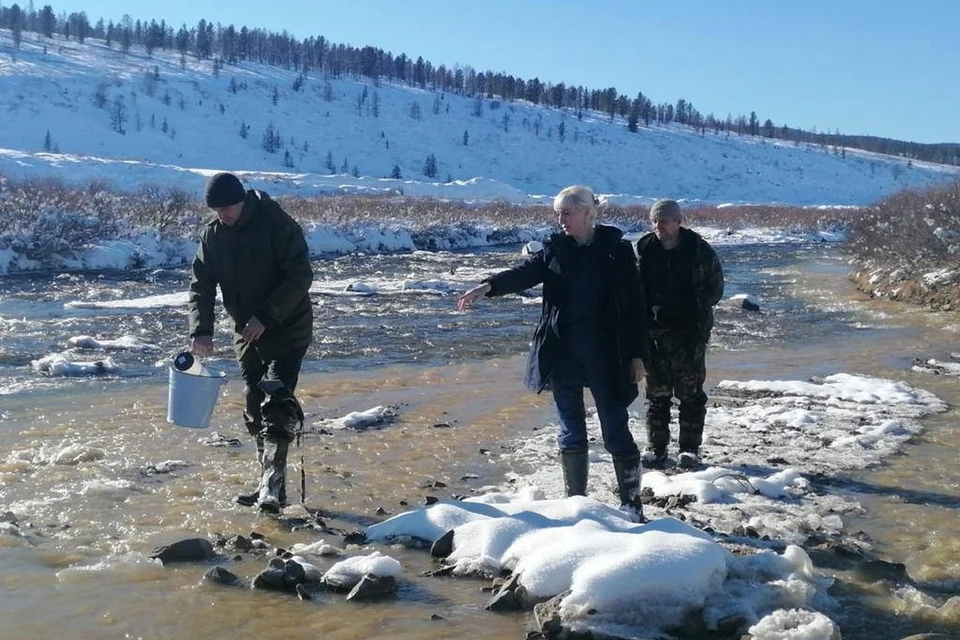 За ущерб природе Красноярского края золотодобытчики заплатили 4,5 миллиона. Фото: прокуратура