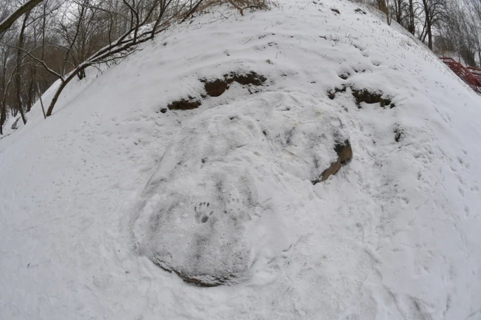 Оползень сошел на склоне Кошелевского оврага в Нижнем Новгороде - KP.RU