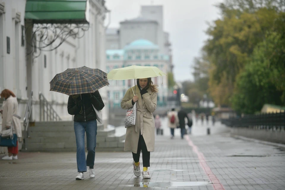 В столице порывы ветра будут достигать 15 м/с