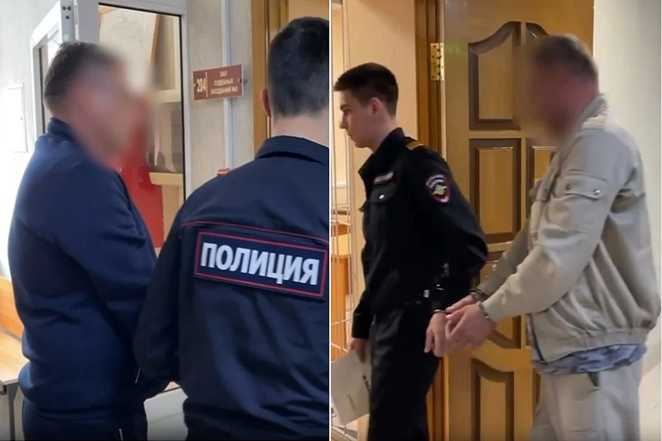 На время следствия Василий и Евгений Черновы будут находиться под арестом