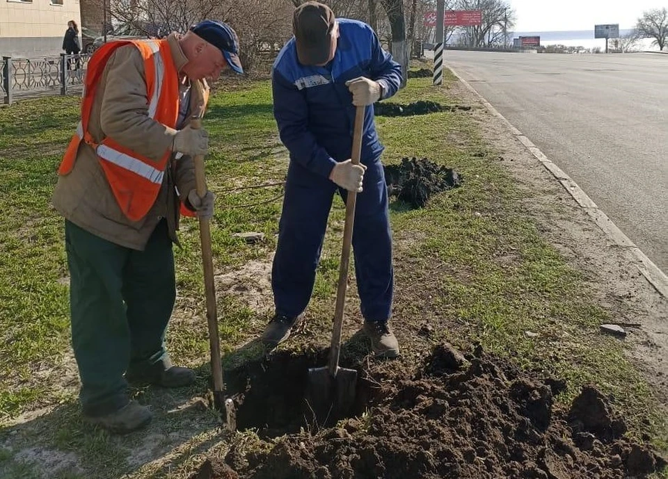 Фото: Городской центр по благоустройству и озеленению