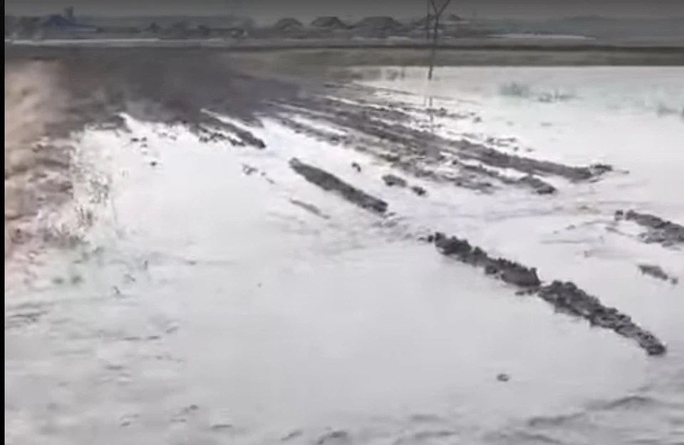 Фото: скриншот видео