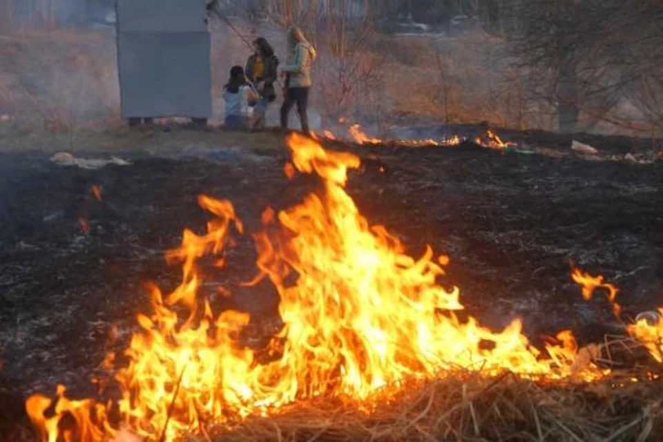 12 лесных пожаров потушили за сутки в Иркутской области