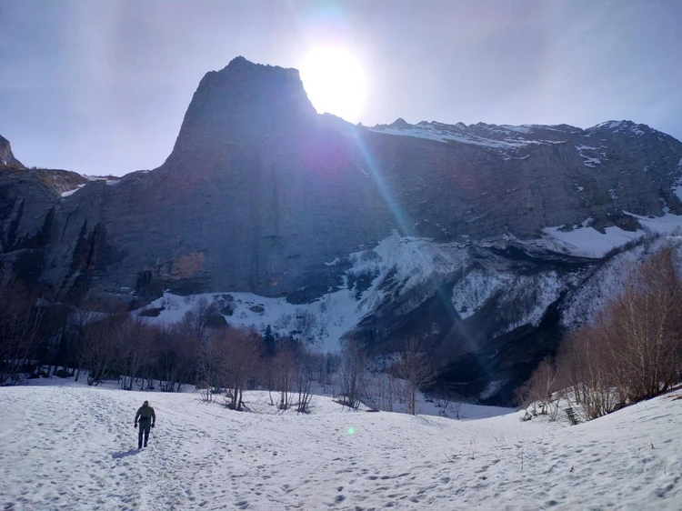 «Сразу три лавины»: Специалисты обследовали место схода тысячи кубометров снега на горе Фишт в Краснодарском крае