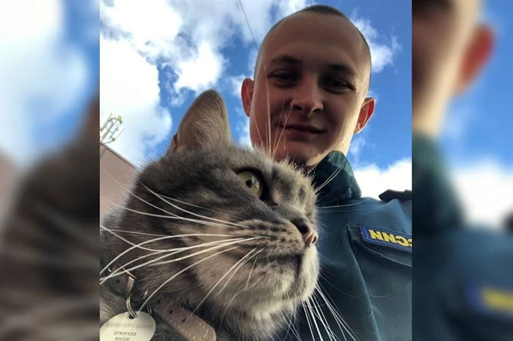 Карабкался, цепляясь за ветки: в Новосибирске спасатель МЧС спас кота, просидевшего на дереве три дня
