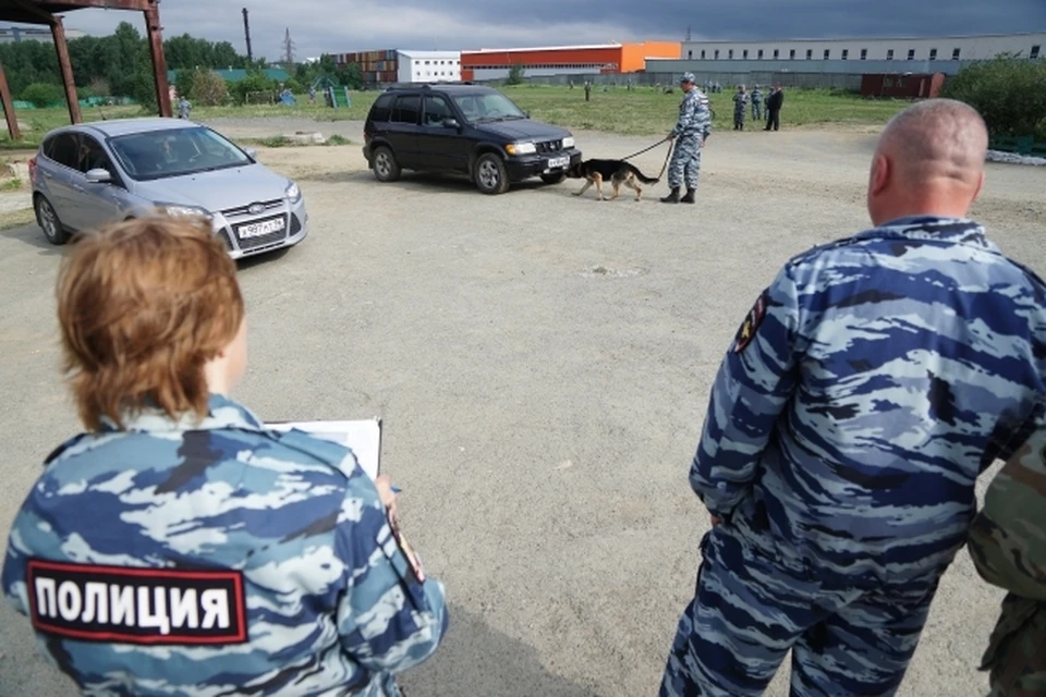 В 2023 году в регионе было изъято свыше 263 кг наркотиков.
