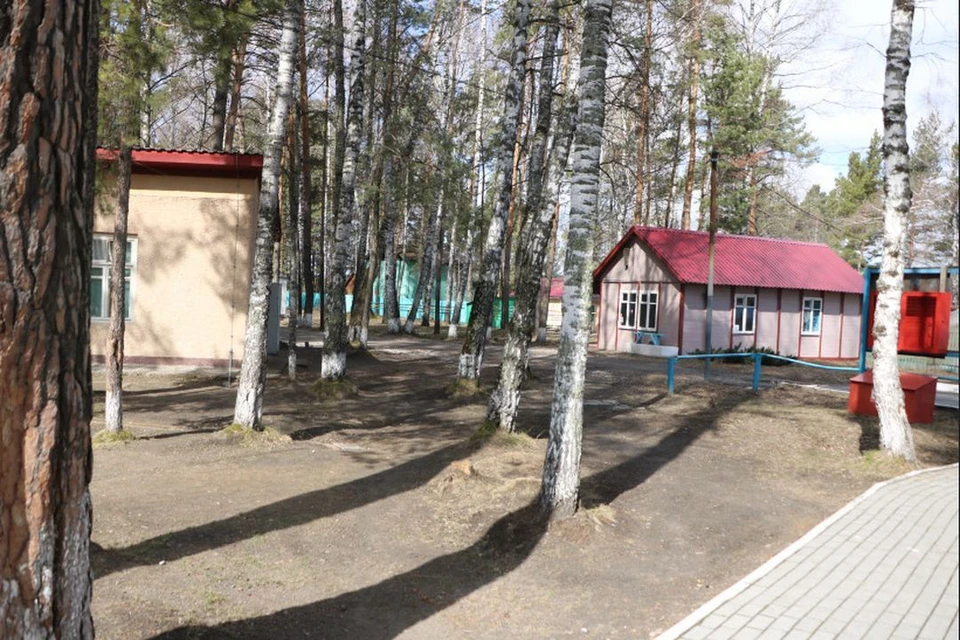Более тысячи лагерей примут новосибирских школьников этим летом. Фото: правительство НСО