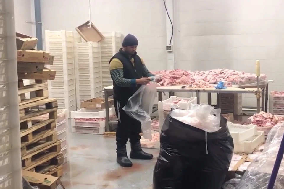 В Балашихе полиция обнаружила мясной цех с 15 работниками-нелегалами Фото:ГУ МВД России по Московской области