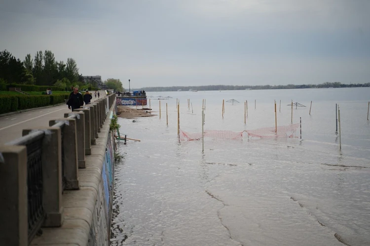 Из воды торчат лишь верхушки зонтиков: ситуация с паводком в Самарской области на 27 апреля 2024