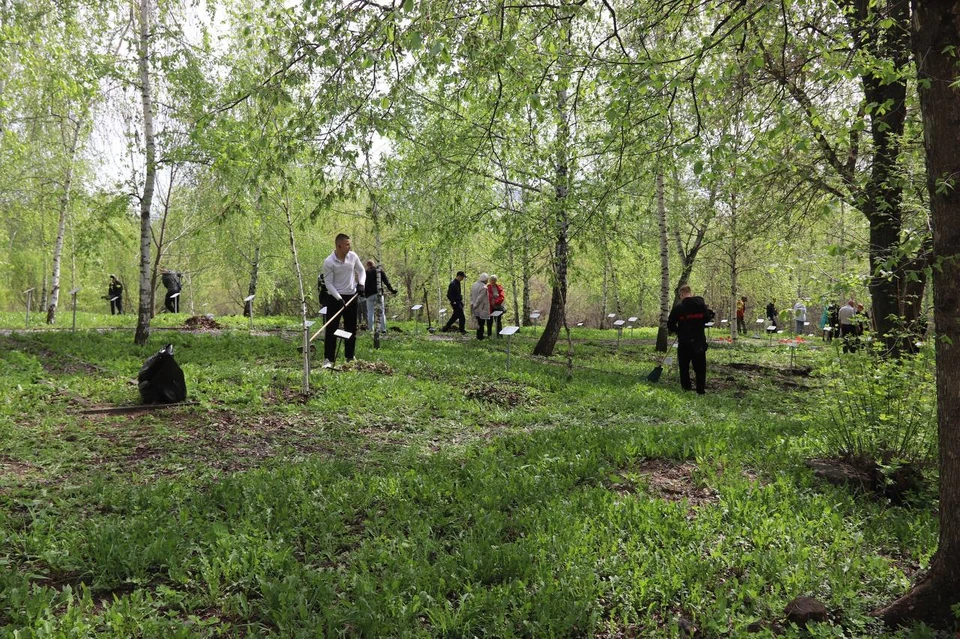 27 апреля в Ульяновске прошел общегородской субботник. Фото Ульяновская Городская Дума