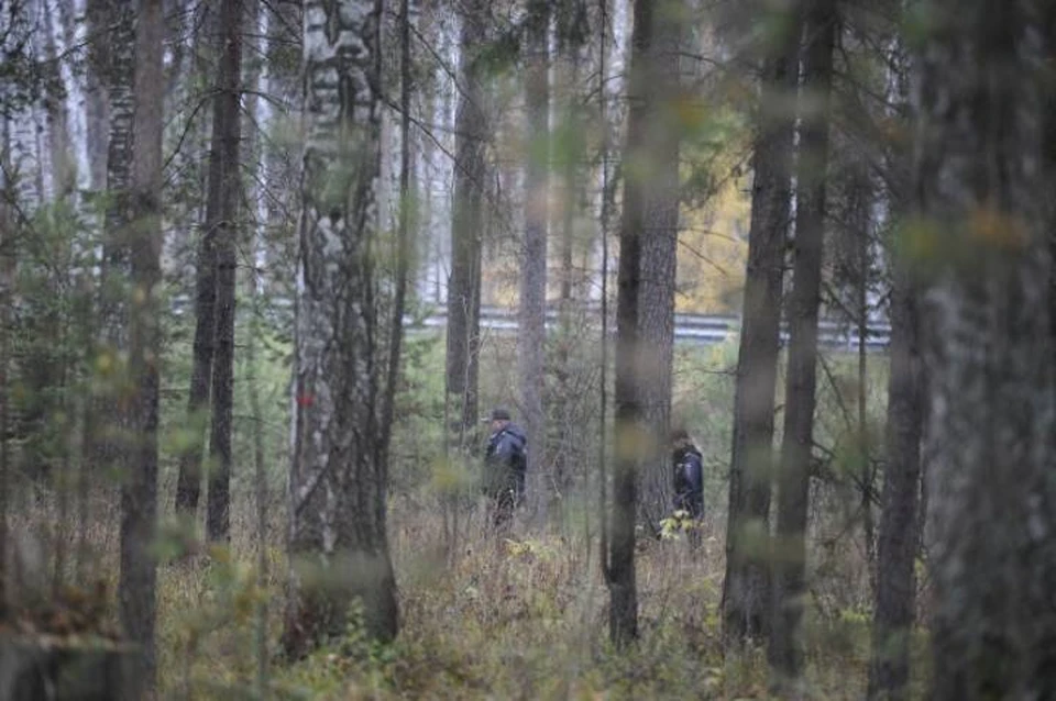 Подозреваемый в двойном убийстве прятался в лесополосе